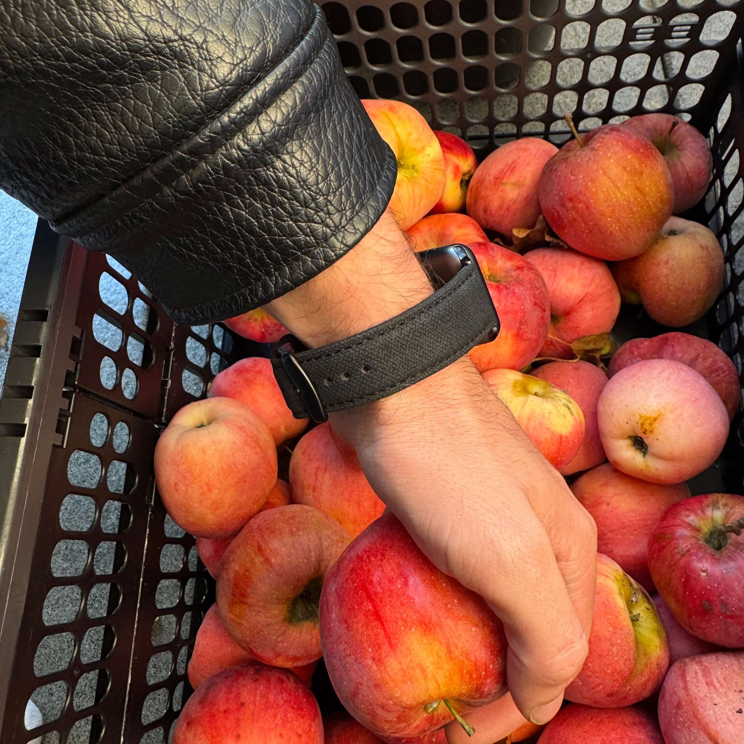 Hand mit schwarzes Canvas Apple Watch Band Baumwolle greift nach einem Apfel in einem Korb, stilvoll und robust für den Alltag.