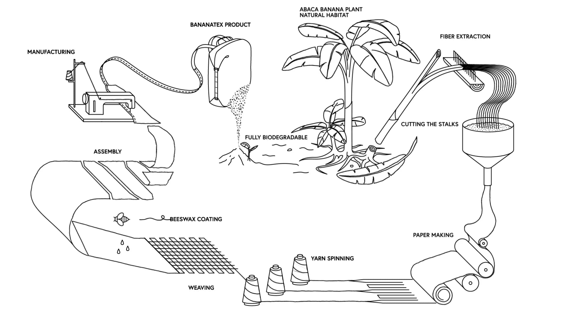 Schritt-für-Schritt-Darstellung des Herstellungsprozesses von Bananatex Stoffband Von QWSTION+FLUCO, von der Abaca-Pflanze bis zur Fertigung.